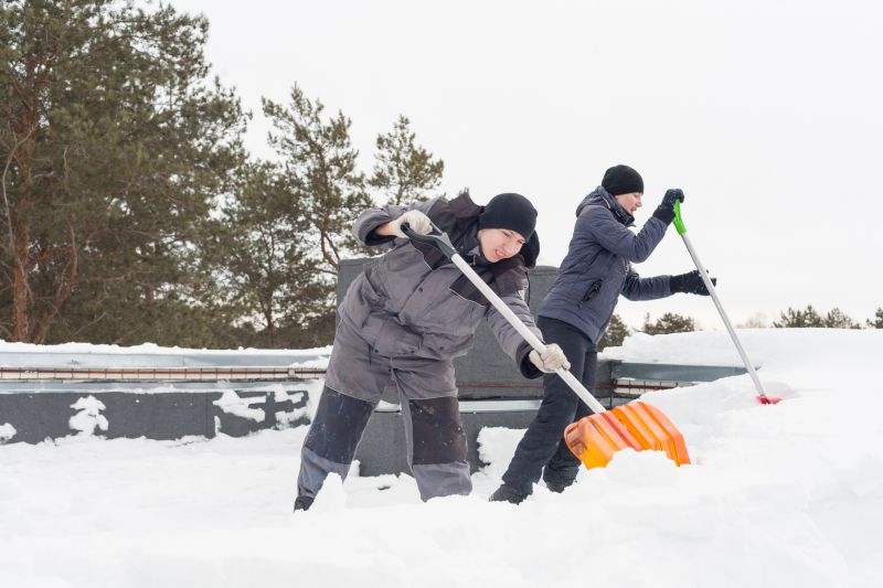 Local Roof Leaf Removal pros at work