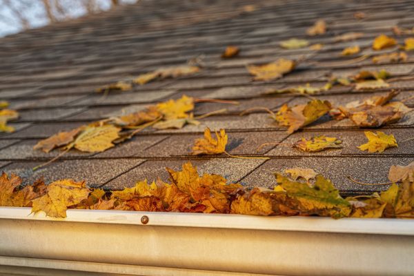 Roof Leaf Removal Service
