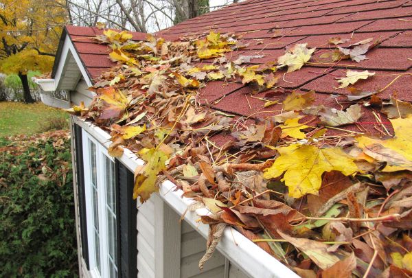 Roof Leaf Clearance