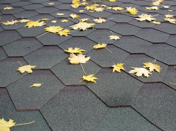Roof Leaf Clearing
