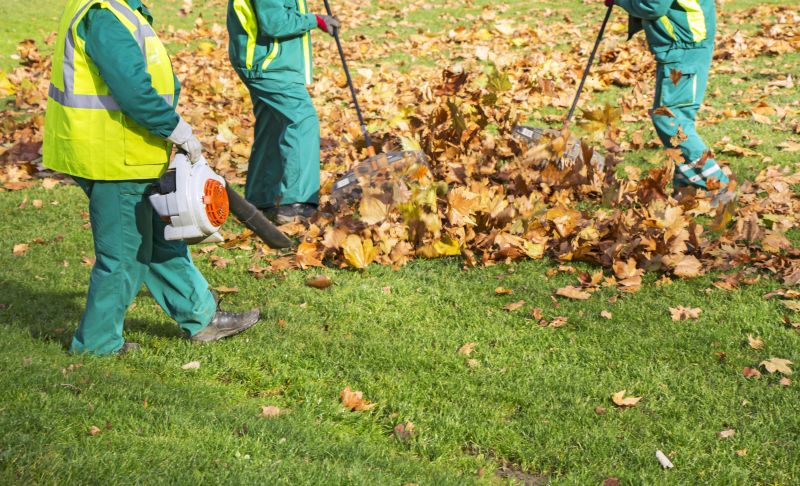 Roof Leaf Removal