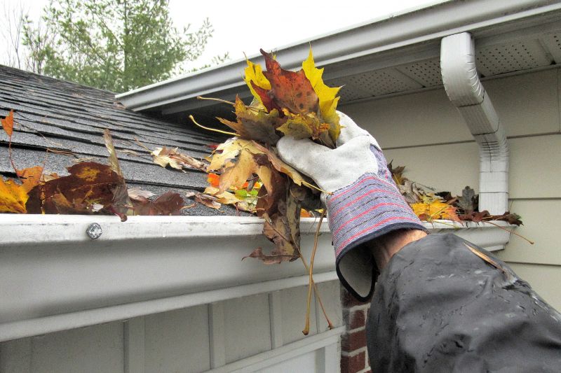 Roof Leaves Removal