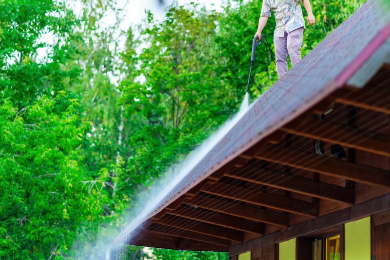 Asphalt Shingles Cleaning in Vancouver, WA