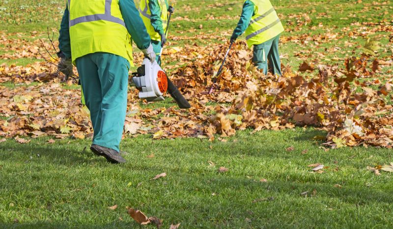 Roof Leaves Removal
