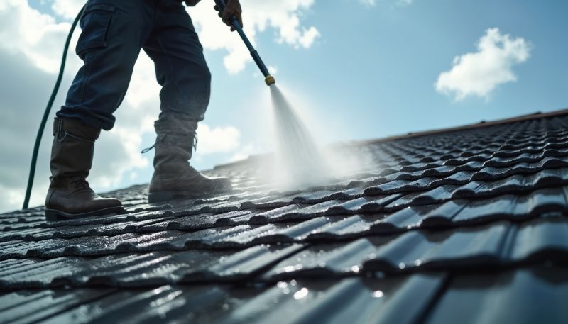 Residential Roof Cleaning in Vancouver, WA