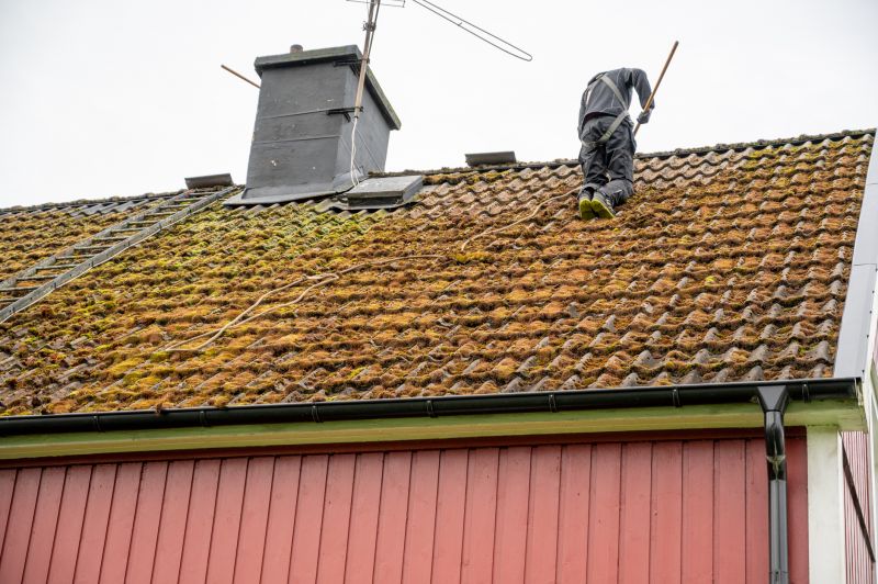 Roof Algae Removal in Vancouver, WA