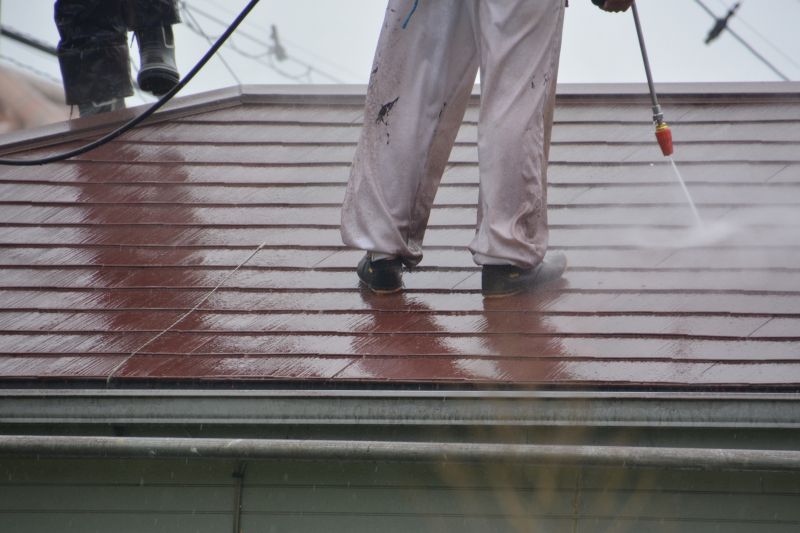 Professional Roof Cleaning in Action