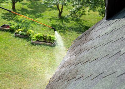 Professional Equipment for Roof Cleaning