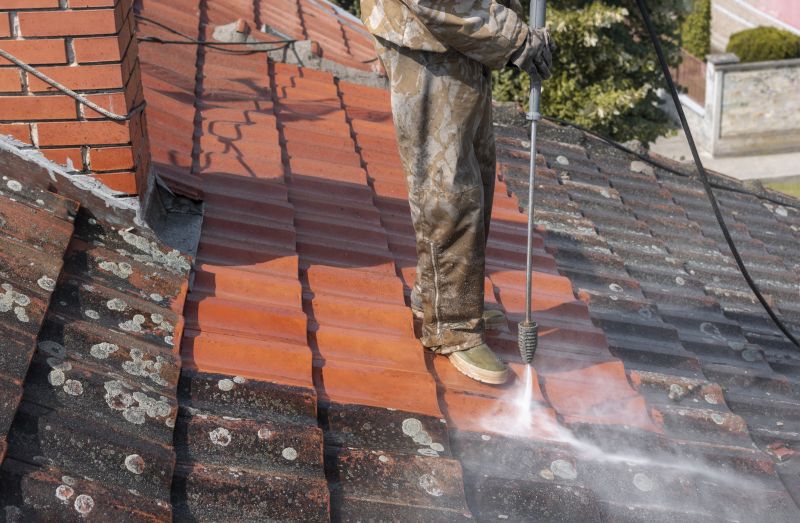 Roof Dirt Removal in Vancouver, WA