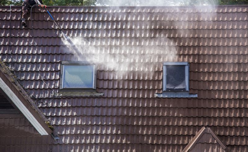 Roof Dirt Removal in Vancouver, WA