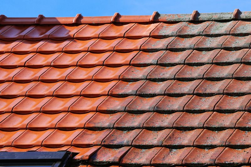 Roof Dirt Removal in Vancouver, WA