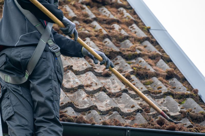 Roof Fungus Removal in Vancouver, WA