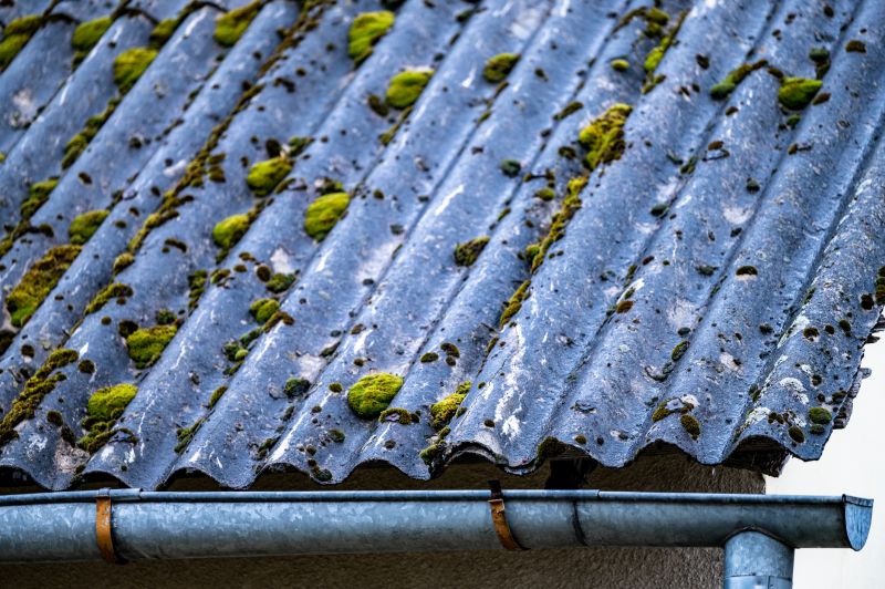 Roof Fungus Removal in Vancouver, WA