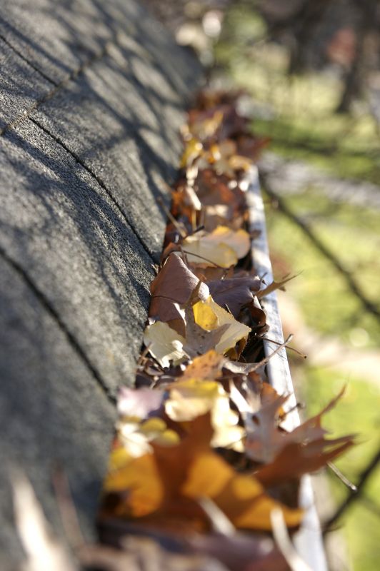 Accumulated Leaves on Roof