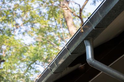 Clean Roof and Gutter System