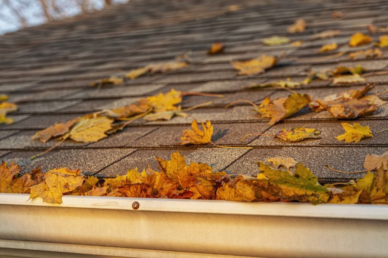 Roof with Leaves