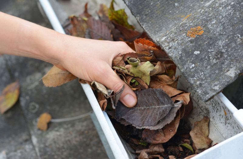 Roof After Leaf Removal
