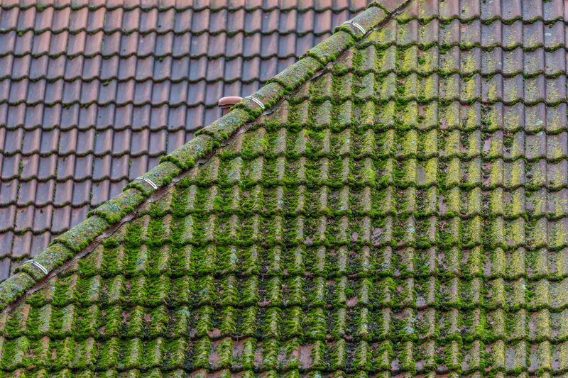 Roof Moss Removal in Vancouver, WA