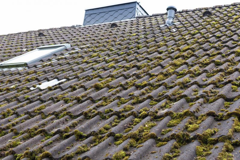 Roof Moss Removal in Vancouver, WA