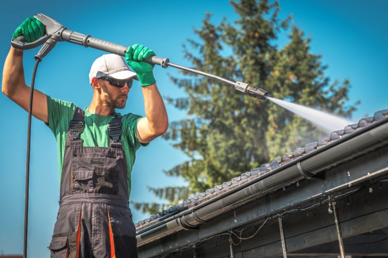 Specialized Roof Cleaning Services