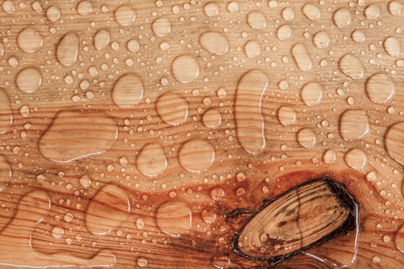 Wood Waterproofing in Puyallup, WA