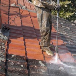 Indianapolis Roof Cleaning