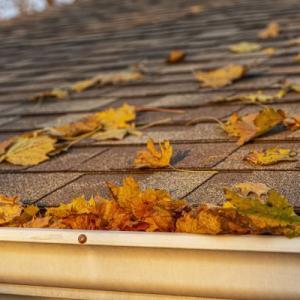 Indianapolis Roof Leaf Removal Service