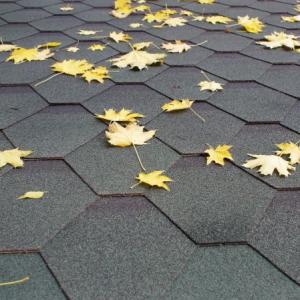 Indianapolis Roof Leaf Clearing